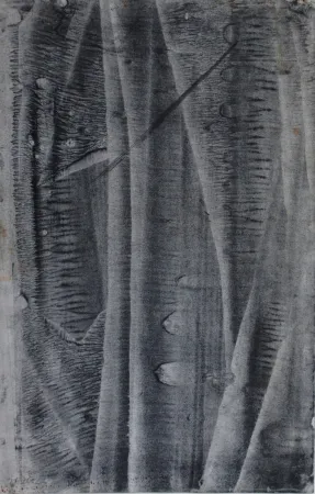 无技术 Ubac - Sans titre