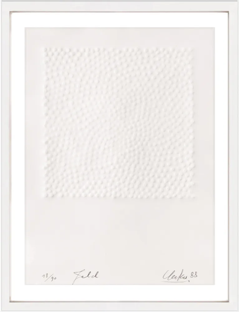 无技术 Uecker - Feld