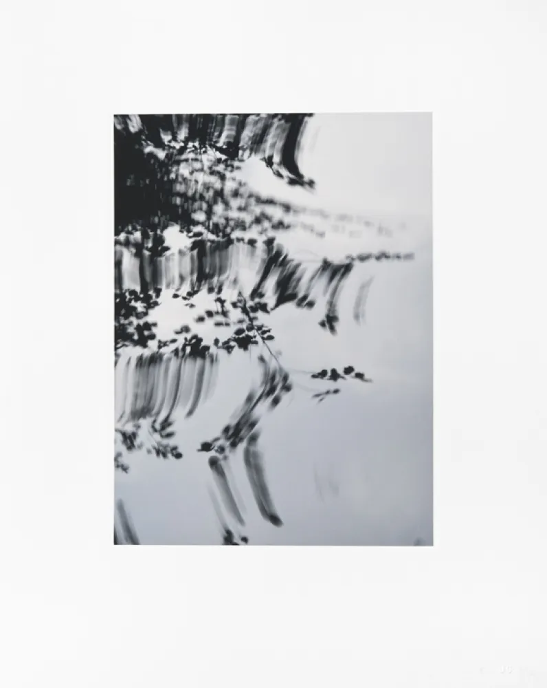 数码版画 Usle - Pisuena