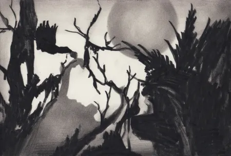 复数作品 Van Eeden - Untitled 22