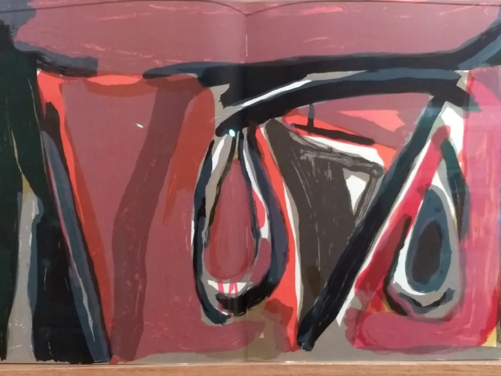 插图书 Van Velde - DLM 250