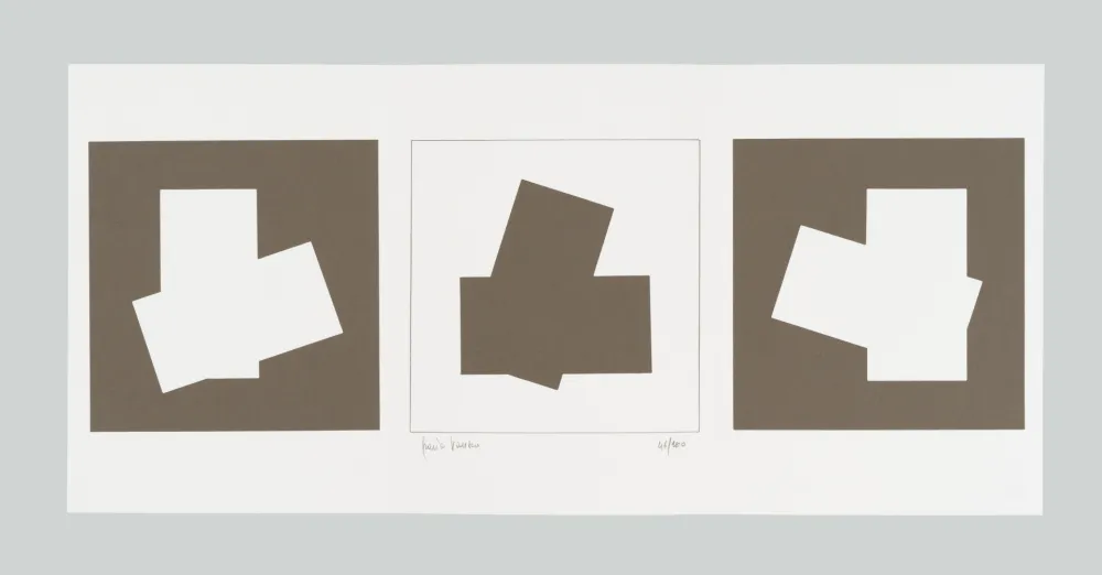 丝网印刷 Varisco - Composizione