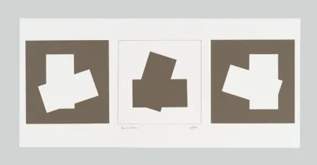 丝网印刷 Varisco - Composizione