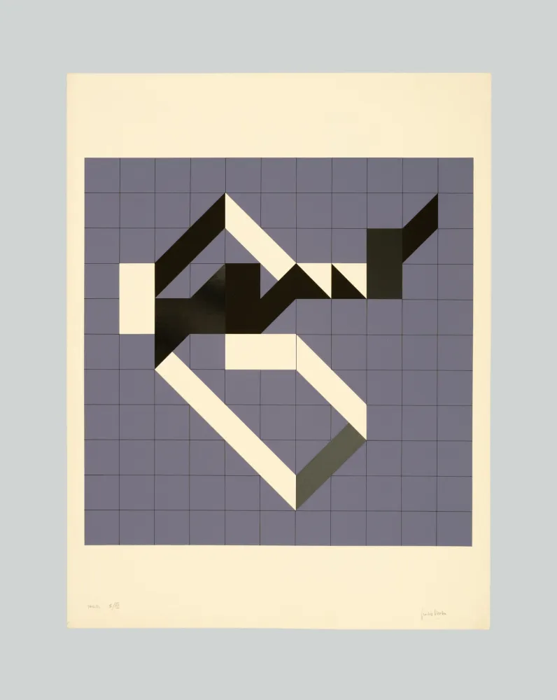 丝网印刷 Varisco - Random walks (Tav. B)