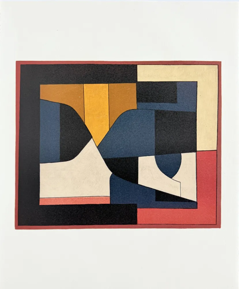 石版画 Vasarely - Ailho