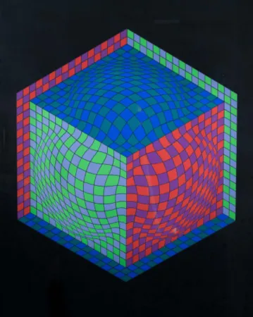 丝网印刷 Vasarely - Dagg 2