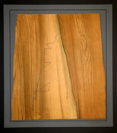 版画 Vasarely - Gordes Nives