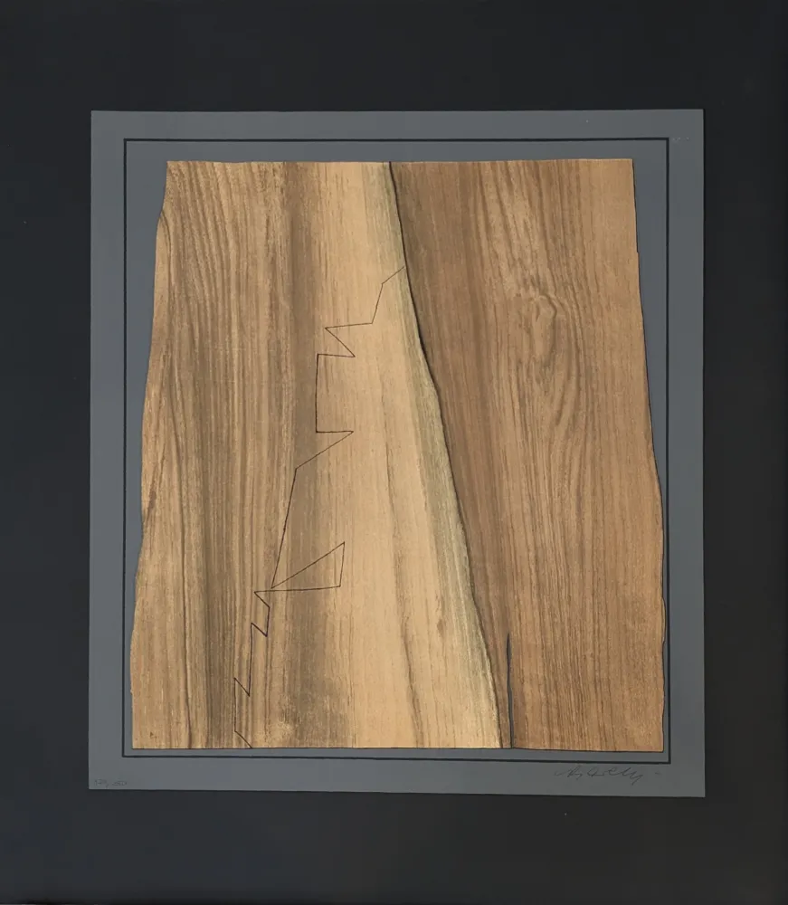 石版画 Vasarely - Gordes Nives 