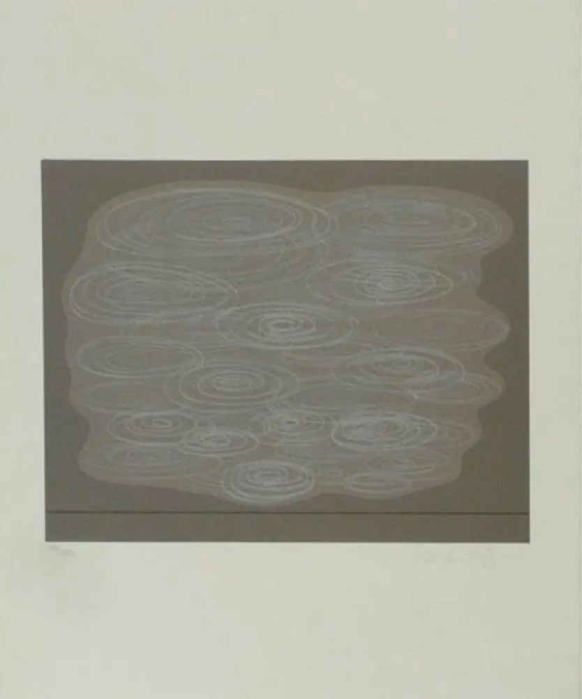 丝网印刷 Vasarely - Locmaria