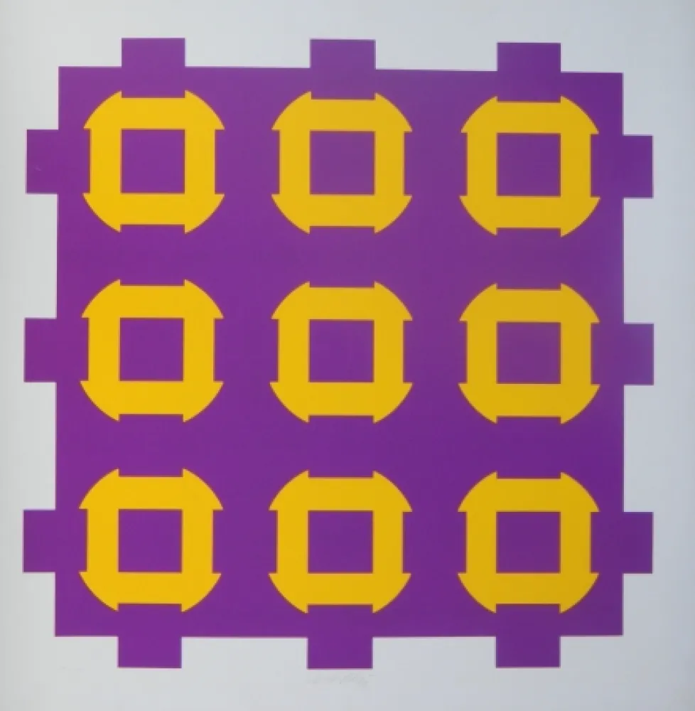 丝网印刷 Vasarely - Procion C