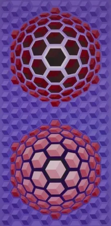 复数作品 Vasarely - Purple long