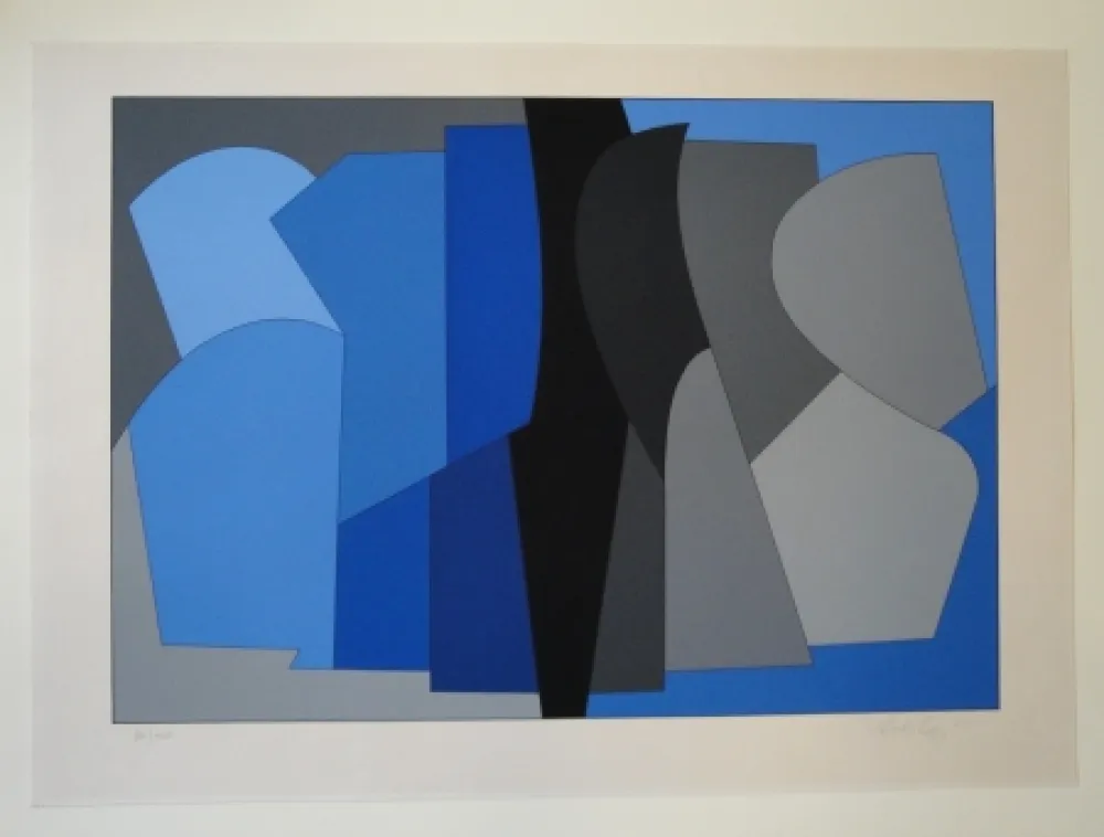 丝网印刷 Vasarely - Siris Kek