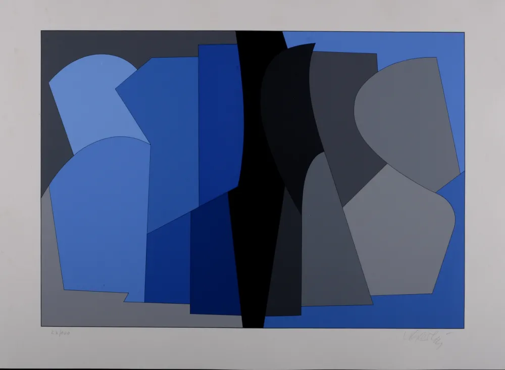 丝网印刷 Vasarely - Siris Kek