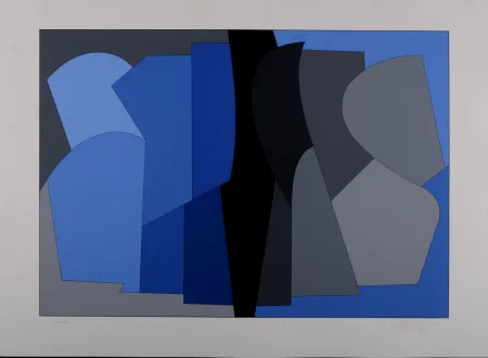 丝网印刷 Vasarely - Siris Kek