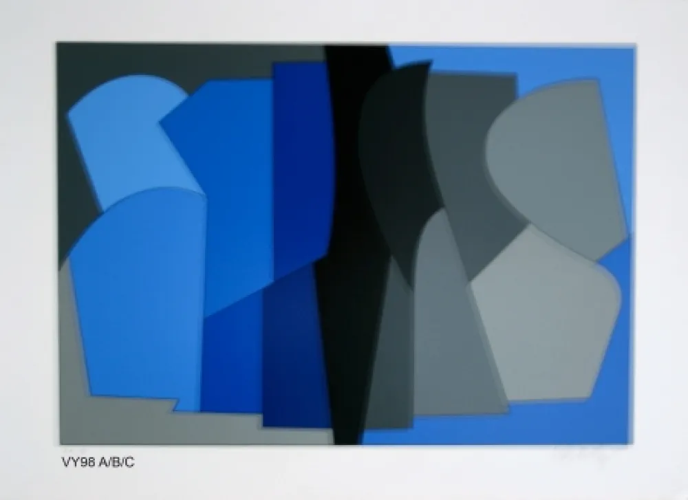 丝网印刷 Vasarely - Siris kek