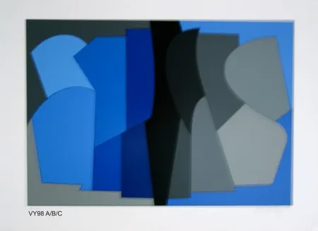 丝网印刷 Vasarely - Siris kek