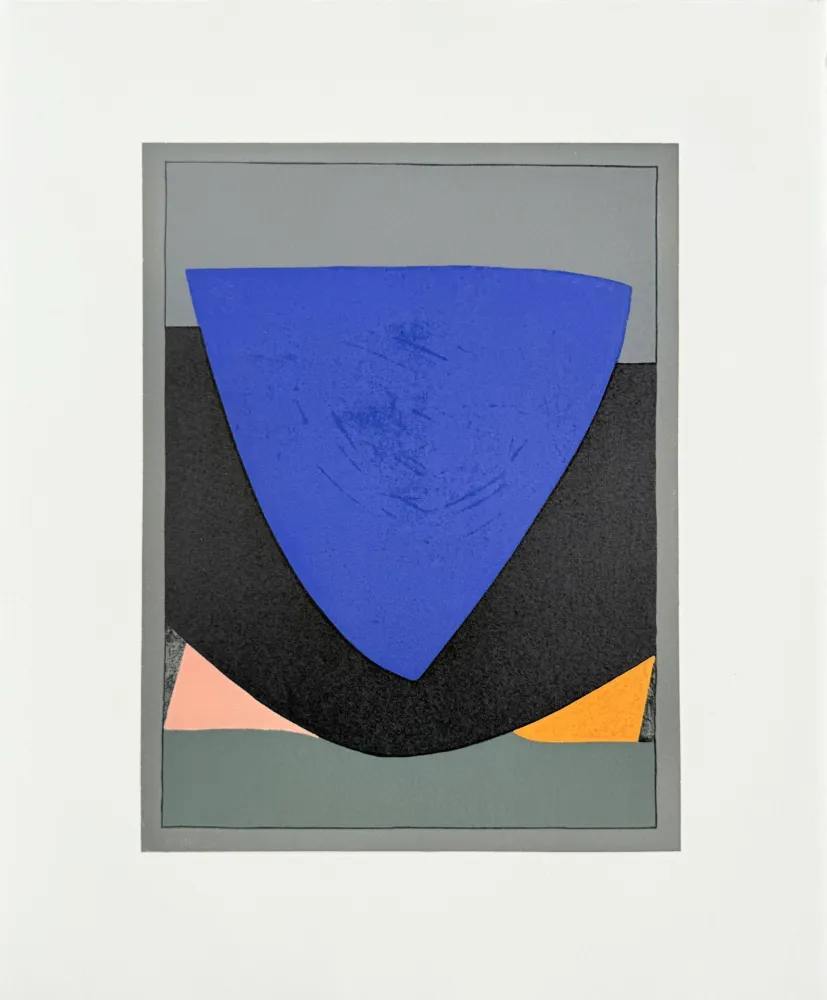 石版画 Vasarely - Tecoma