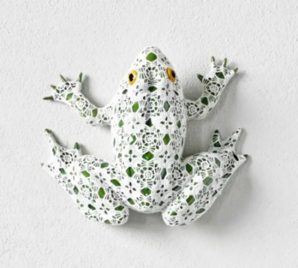 无技术 Vasconcelos - Neblina