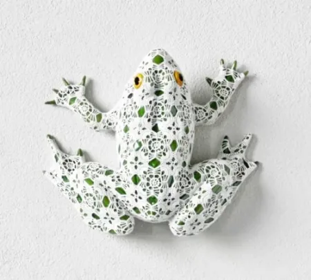 无技术 Vasconcelos - Neblina