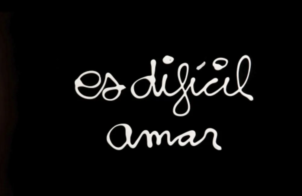 丝网印刷 Vautier - Es difícil amar