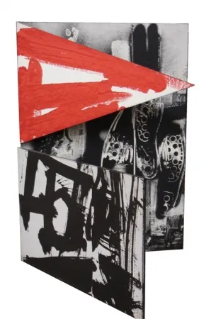 复数作品 Vedova - Lettera aperta - Seriplurima 78-79