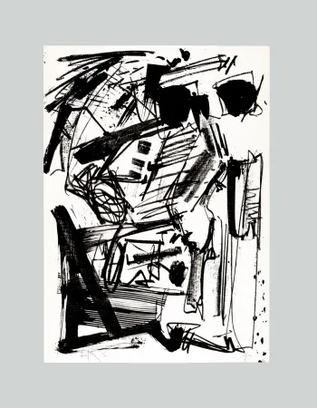 无技术 Vedova - Senza titolo