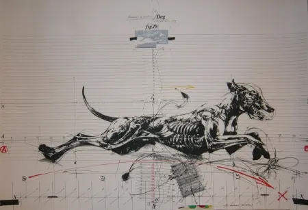 石版画 Velickovic - Animals in motion