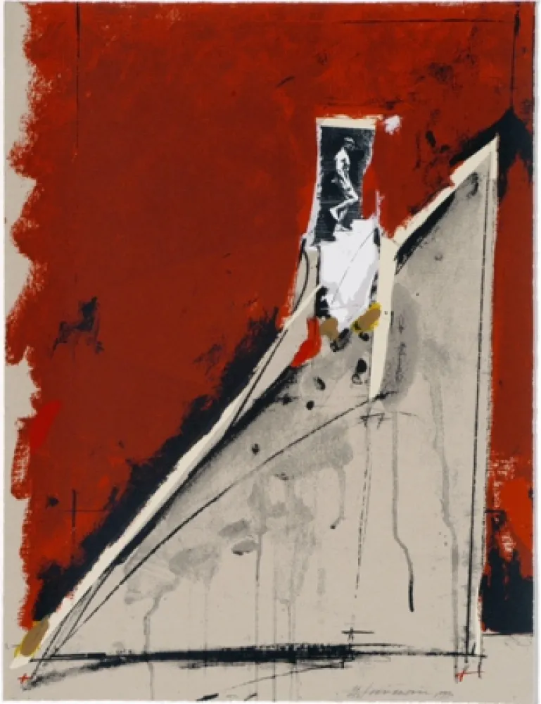 丝网印刷 Velickovic - Descente