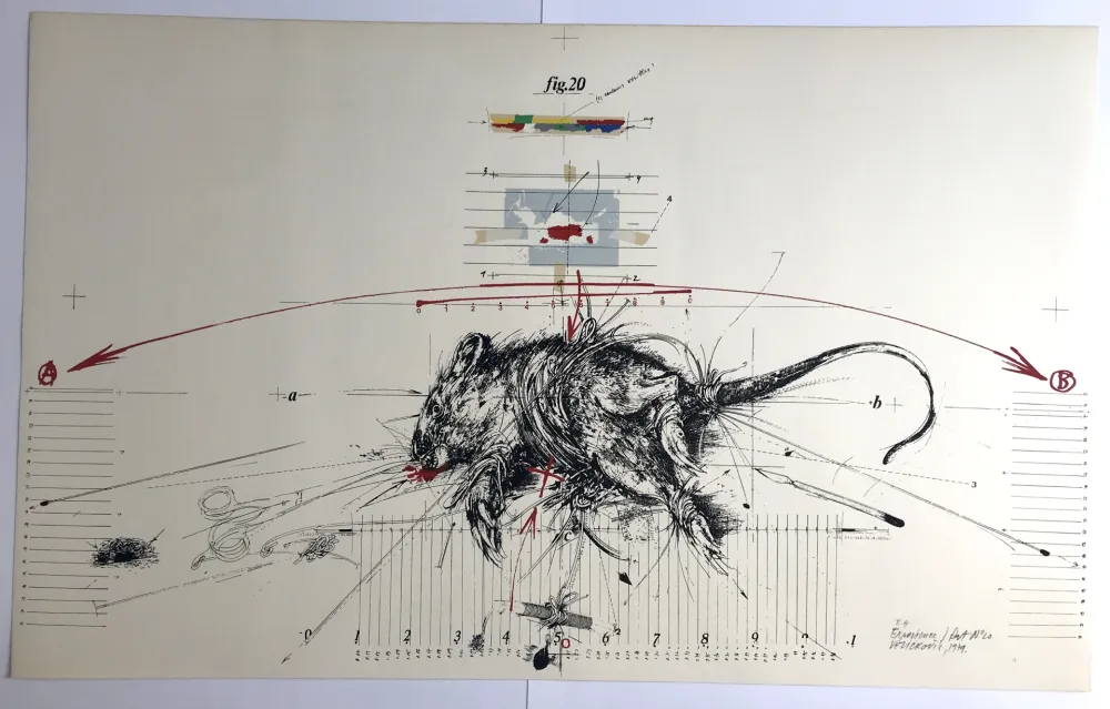 石版画 Velickovic - Expérience / Rat n°20