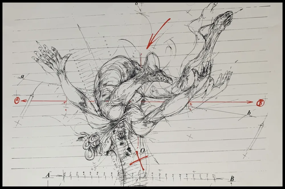 丝网印刷 Velickovic - La chute