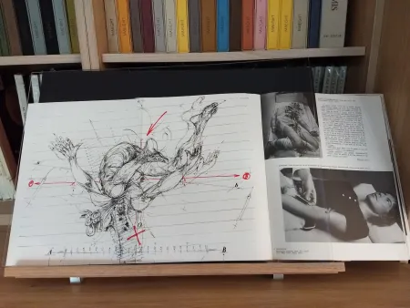 插图书 Velickovic - No 44