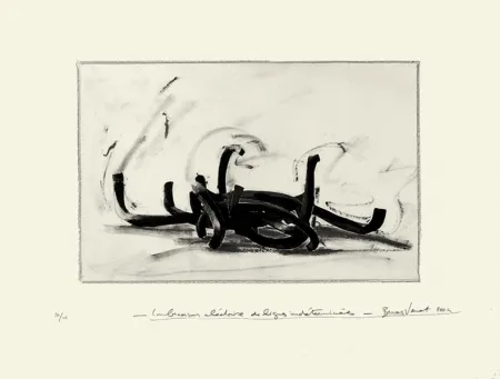 石版画 Venet - Combinaison aléatoire de lignes indéterminées 9N