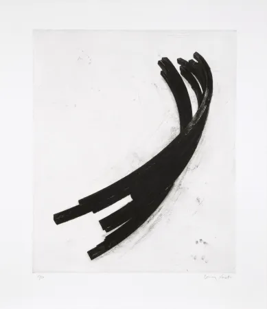 蚀刻版画 Venet - Effondrement: Arcs 02