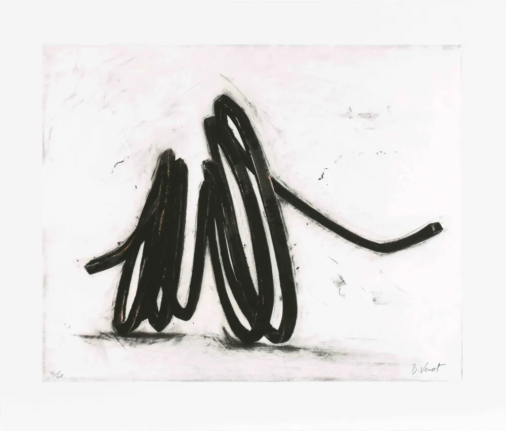 蚀刻版画 Venet - Indeterminate line I