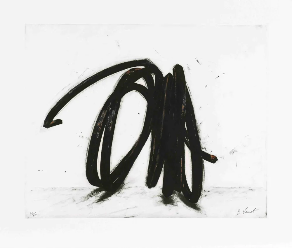 蚀刻版画 Venet - Indeterminate line II