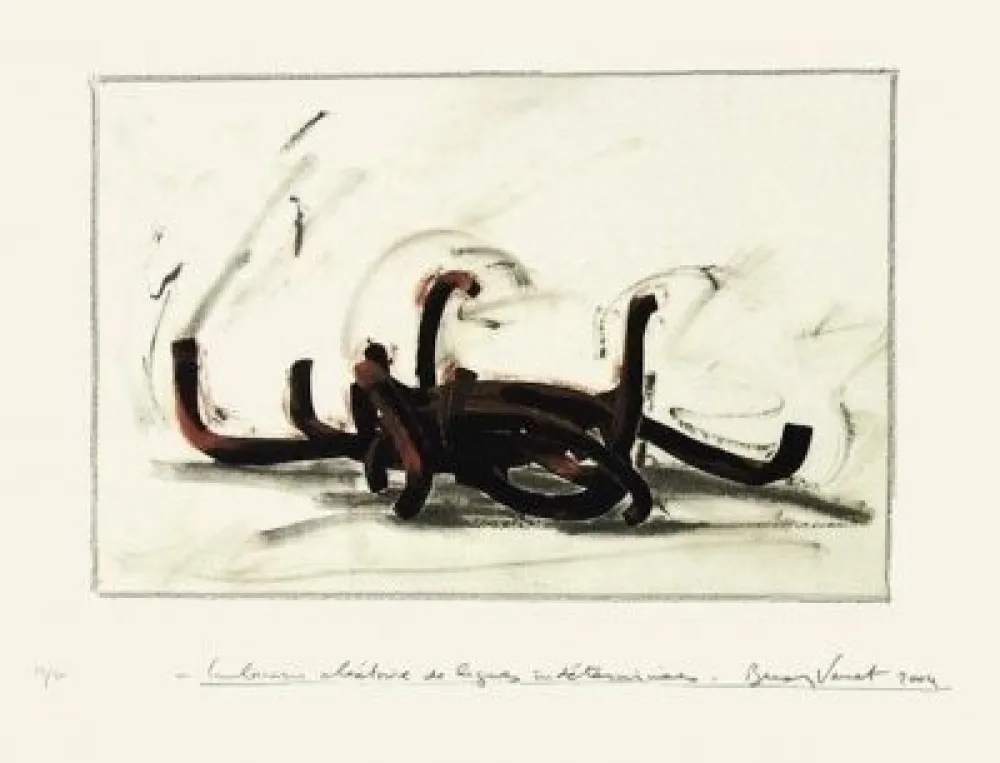 丝网印刷 Venet -  Indeterminate Lines