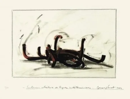 丝网印刷 Venet -  Indeterminate Lines