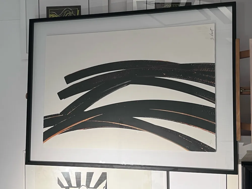 丝网印刷 Venet - IV