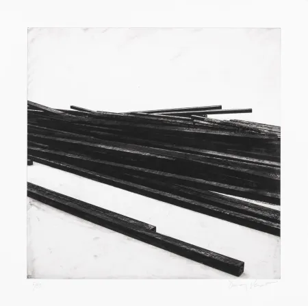 丝网印刷 Venet - Lignes droites / désordre 01