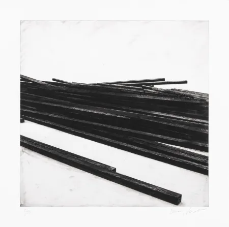 丝网印刷 Venet - Lignes droites / désordre 01