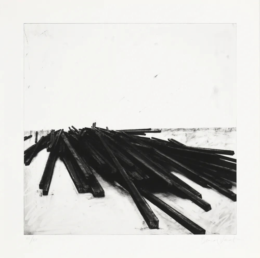 丝网印刷 Venet - Lignes droites / désordre 02