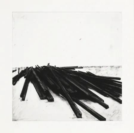 丝网印刷 Venet - Lignes droites / désordre 02