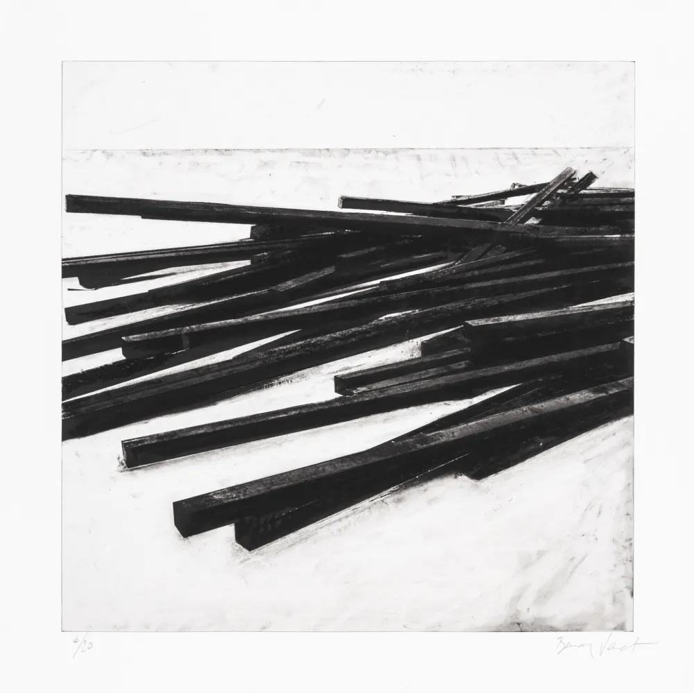 丝网印刷 Venet - Lignes droites / désordre 03