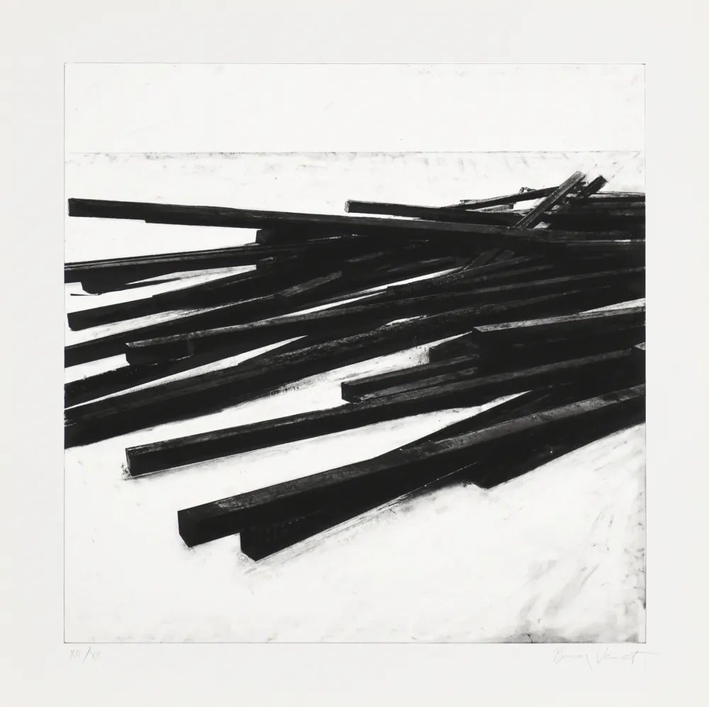 丝网印刷 Venet - Lignes droites / désordre 03