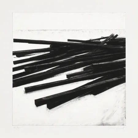 丝网印刷 Venet - Lignes droites / désordre 03