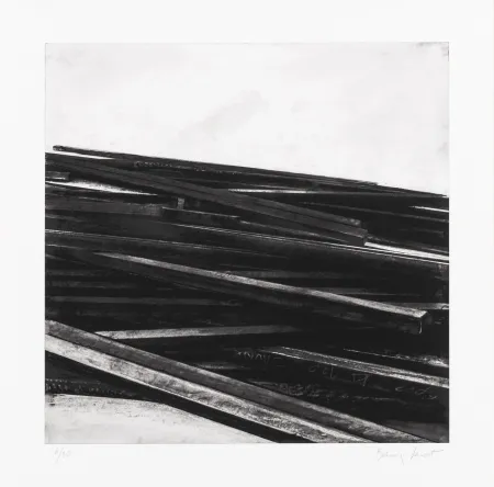 丝网印刷 Venet - Lignes droites / désordre 04