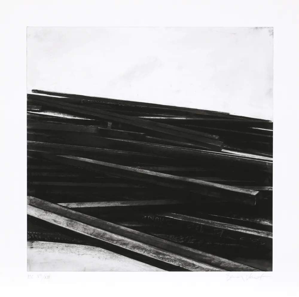 丝网印刷 Venet - Lignes droites / désordre 04