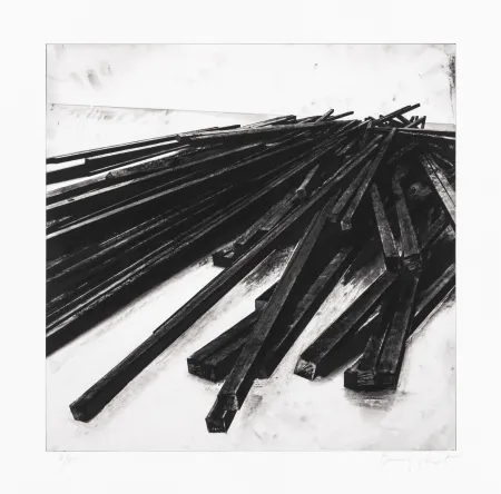 丝网印刷 Venet - Lignes droites / désordre 05