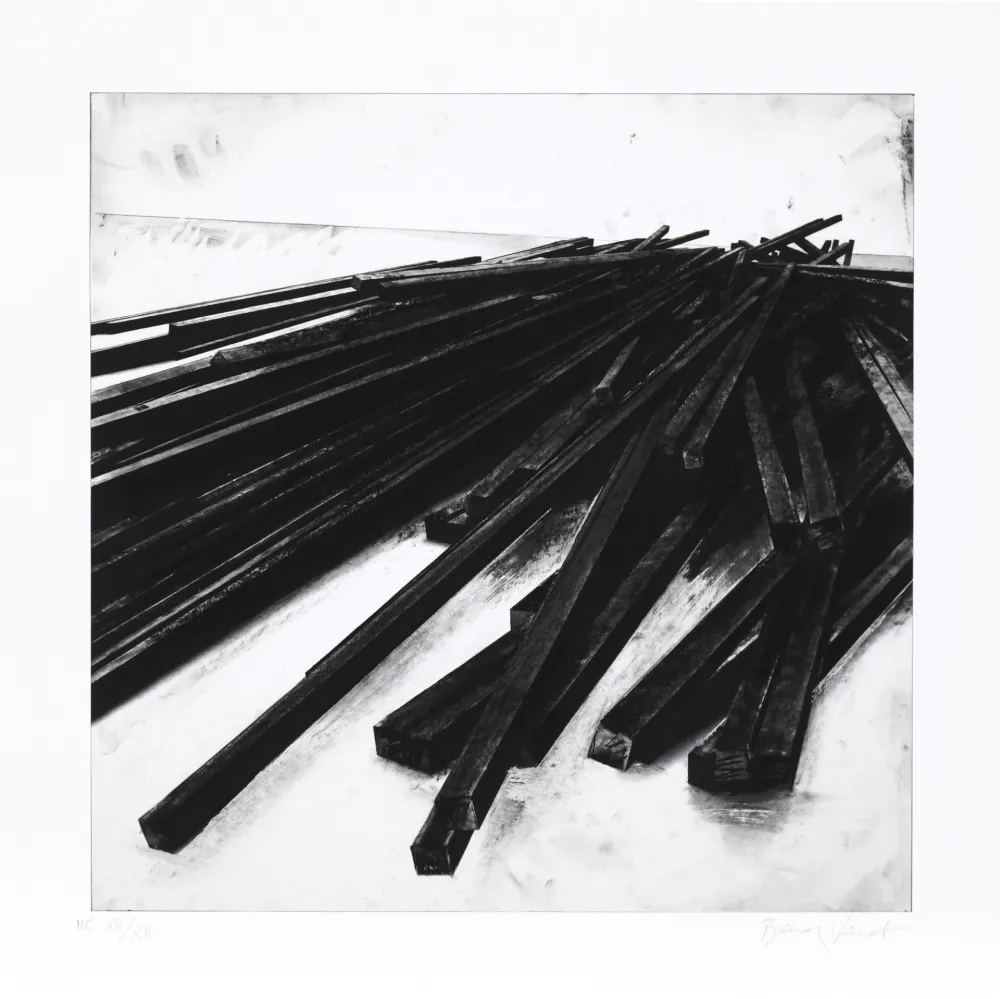 丝网印刷 Venet - Lignes droites / désordre 05