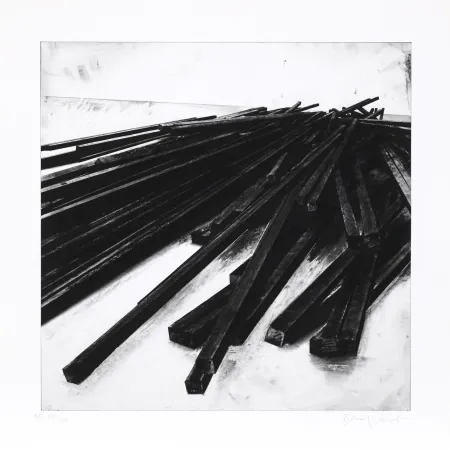 丝网印刷 Venet - Lignes droites / désordre 05